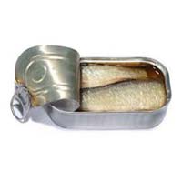 Canned Sardine In Brine