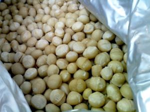 Macadamia Nuts