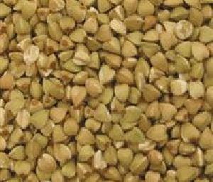 Premium Quality Buckwheat