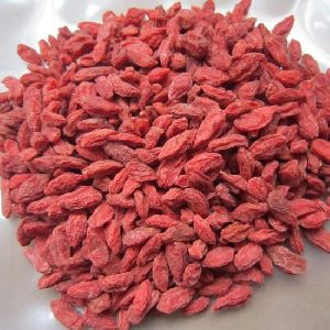 supplier price ningxia dried organic goji berry
