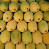 Fresh Dasheri Mango