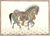 Kathi Horse