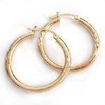 DTSE003635 Plated Hoop Earrings