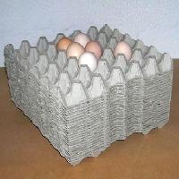 Egg Trays Pmp - 002