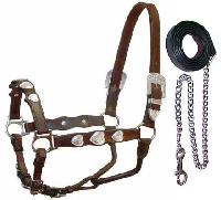 Horse Bridle Hl-80050039