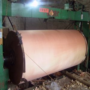 4x8foot Linyi Okoume Veneer