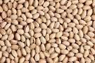 Farm Product - Dry Raw Pistachio Nuts