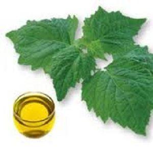 Aromatic & Essential Oils