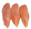 Frozen Halal Chicken Fillet