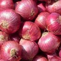 red onion