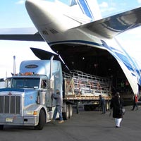 freight forwarding services