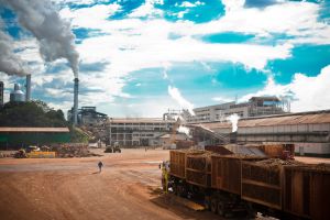 Sugar ICUMSA 45, ICUMSA 150