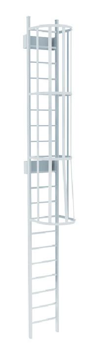 cage ladder