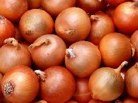 red onion