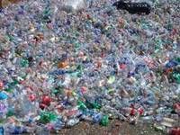 pet bottle scrap