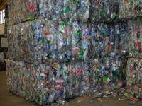 pet flakes,  Production Capacity : 500 Tons / Month