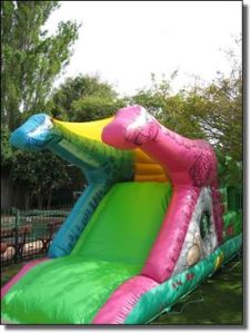 Dinosaur Combo Dinosaur Combo