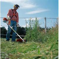 Hand Held Hedge Trimmer