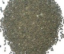 Diammonium Phosphate Compound Fertilizer