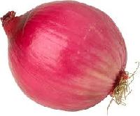 Onions