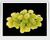 fresh green grapes