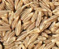 High Quality Cumin Seeds