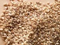 sesame seeds