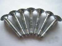 Carriage Bolts