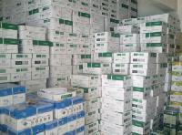 Copy Paper,  GSM : 70