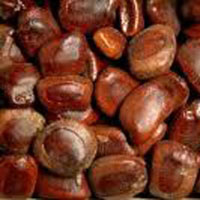 Tamarind (Imli Seeds)