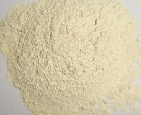 garlic powder,  Processing Type : Raw