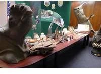 Black and White Rhino Horn Black and White Rhino Horn