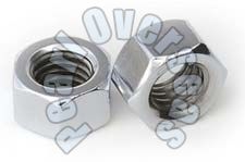 Stainless Steel Nuts