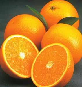 Valencia Oranges