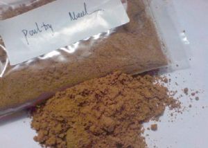 Poultry Meal