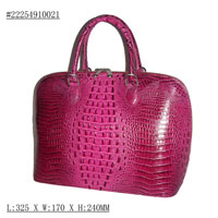 Ladies Hand Bag
