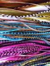 Grizzly Rooster Feathers