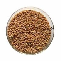 Guar Gum Seed