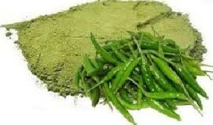 dehydrated green chilli powder