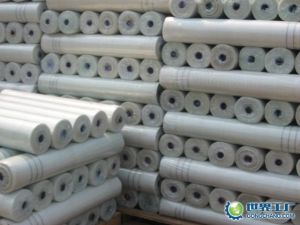 Fiberglass Mesh