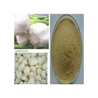 Allium Sativum Extract, Garlic Extract