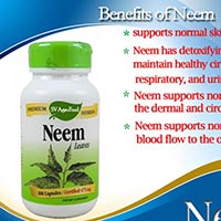Herbal Supplement, Neem Capsule
