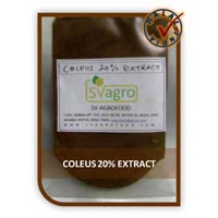High Quality Coleus Forskohlii Extract
