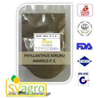 niruri phyllanthus extract