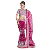 Net Embroidered Lehenga Choli