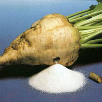 Beet Sugar