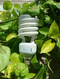 Half Spiral Energy Saving Lamp