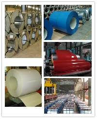 Prepainted Galvanized Steel Coil
