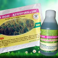 SAFS ROM – Azospirillum