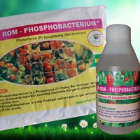 SAFS ROM – Phosphobacterium